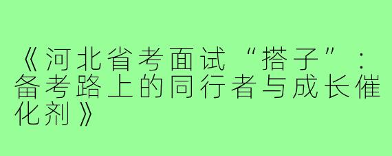《河北省考面试“搭子”：备考路上的同行者与成长催化剂》