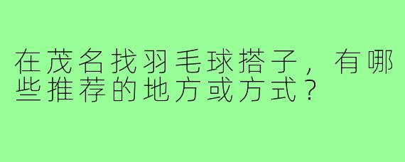 在茂名找羽毛球搭子,有哪些推荐的地方或方式?