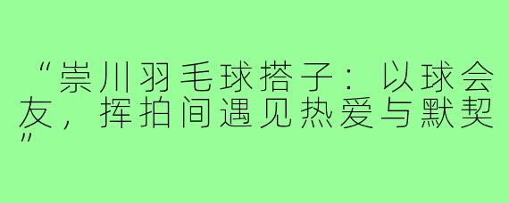 “崇川羽毛球搭子：以球会友，挥拍间遇见热爱与默契”