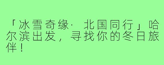 「冰雪奇缘·北国同行」哈尔滨出发，寻找你的冬日旅伴！