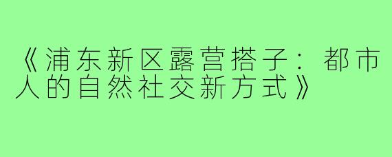 《浦东新区露营搭子：都市人的自然社交新方式》
