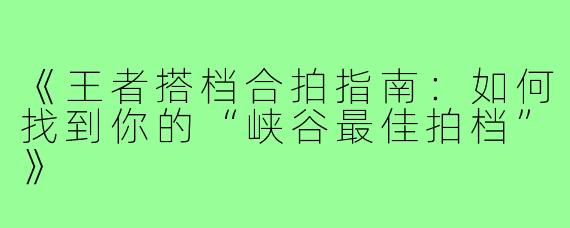 《王者搭档合拍指南：如何找到你的“峡谷最佳拍档”》
