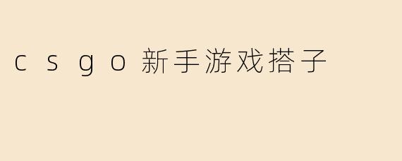 csgo新手游戏搭子