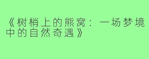 《树梢上的熊窝:一场梦境中的自然奇遇》