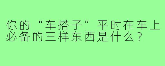 你的“车搭子”平时在车上必备的三样东西是什么？