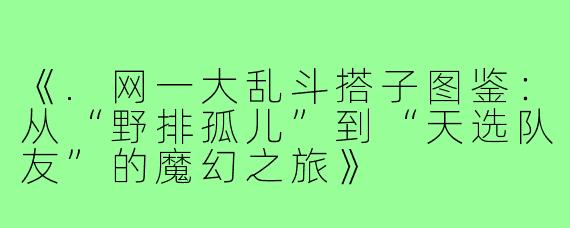 《.网一大乱斗搭子图鉴：从“野排孤儿”到“天选队友”的魔幻之旅》