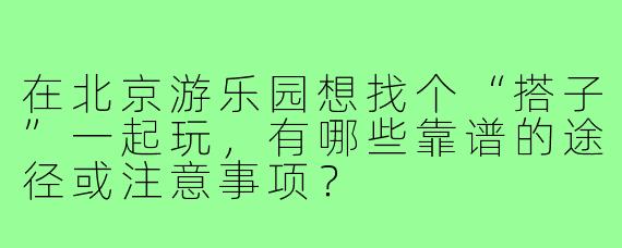 在北京游乐园想找个“搭子”一起玩,有哪些靠谱的途径或注意事项?