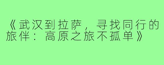 《武汉到拉萨，寻找同行的旅伴：高原之旅不孤单》
