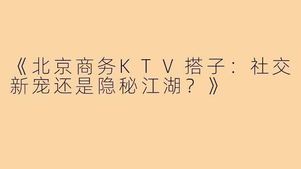 《北京商务KTV搭子:社交新宠还是隐秘江湖?》