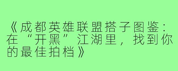 《成都英雄联盟搭子图鉴：在“开黑”江湖里，找到你的最佳拍档》