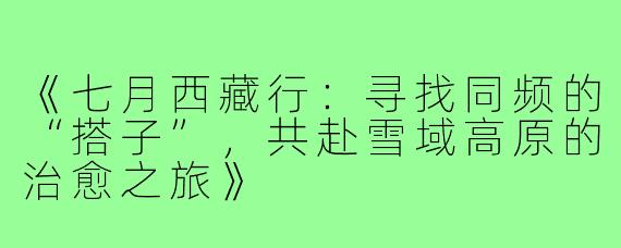 《七月西藏行：寻找同频的“搭子”，共赴雪域高原的治愈之旅》