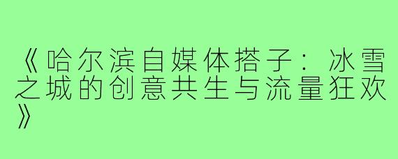 《哈尔滨自媒体搭子：冰雪之城的创意共生与流量狂欢》