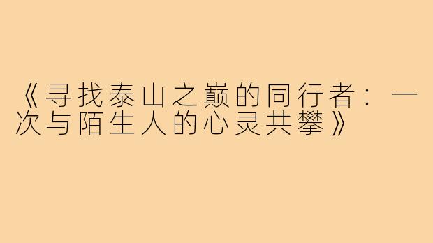 《寻找泰山之巅的同行者：一次与陌生人的心灵共攀》