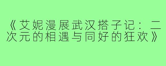 《艾妮漫展武汉搭子记：二次元的相遇与同好的狂欢》