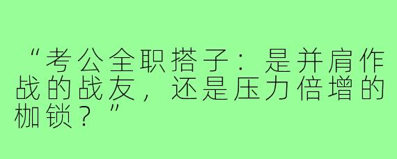 “考公全职搭子：是并肩作战的战友，还是压力倍增的枷锁？”