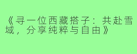 《寻一位西藏搭子：共赴雪域，分享纯粹与自由》