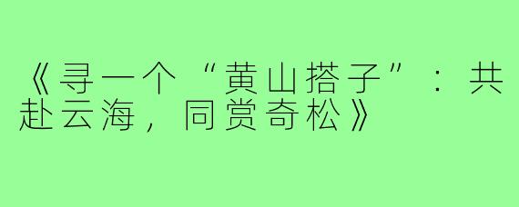 《寻一个“黄山搭子”:共赴云海,同赏奇松》