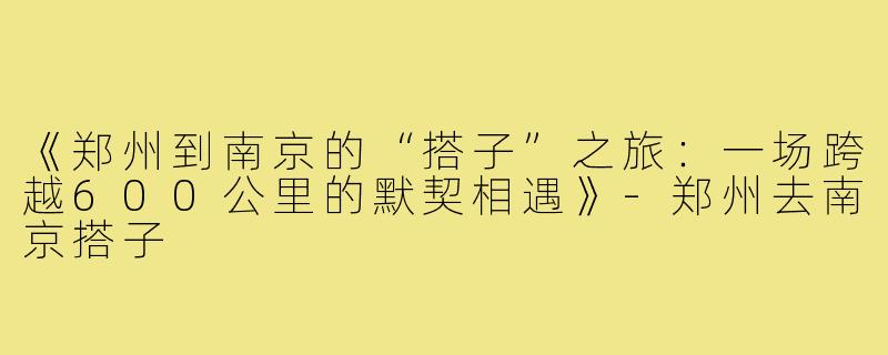 《郑州到南京的“搭子”之旅：一场跨越600公里的默契相遇》-郑州去南京搭子