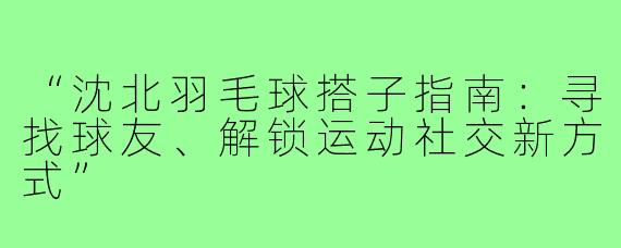“沈北羽毛球搭子指南：寻找球友、解锁运动社交新方式”