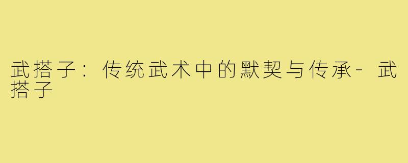 武搭子:传统武术中的默契与传承-武搭子