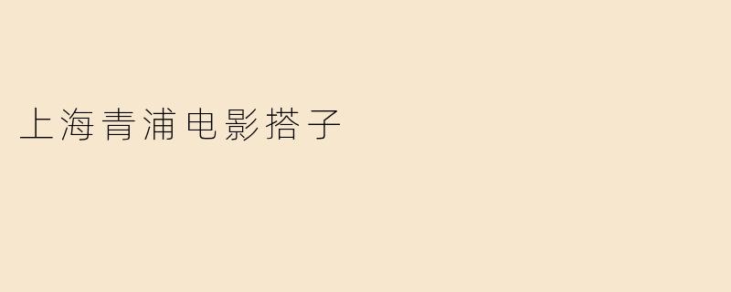 上海青浦电影搭子