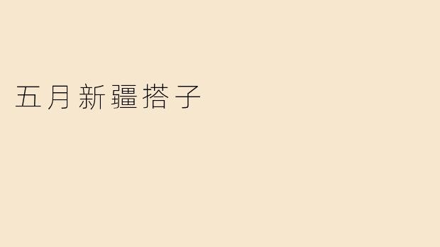 五月新疆搭子
