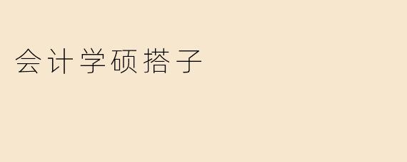 会计学硕搭子