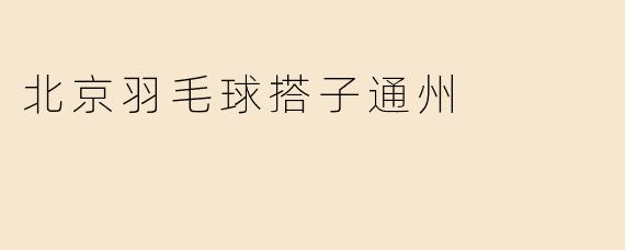 北京羽毛球搭子通州