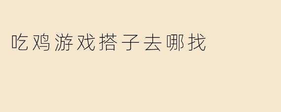 吃鸡游戏搭子去哪找