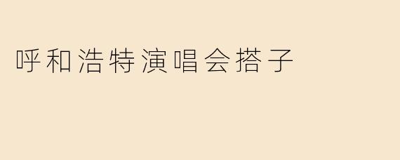 呼和浩特演唱会搭子
