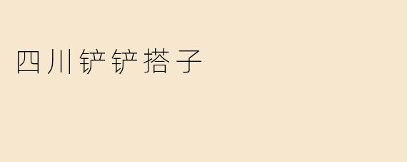 四川铲铲搭子