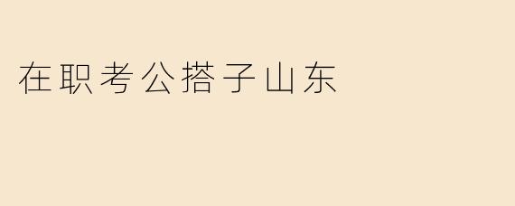 在职考公搭子山东
