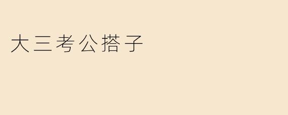 大三考公搭子