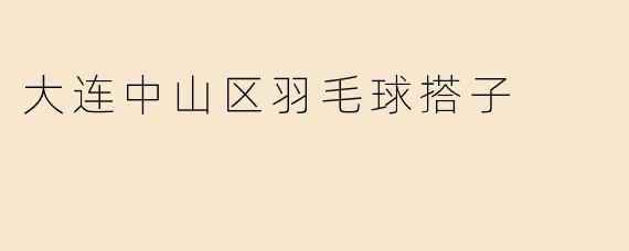 大连中山区羽毛球搭子