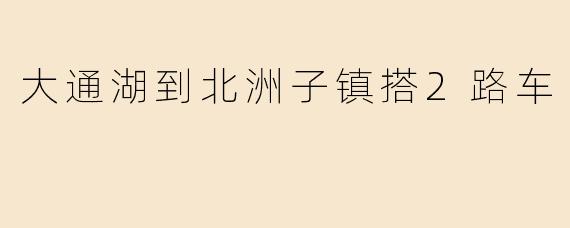 大通湖到北洲子镇搭2路车