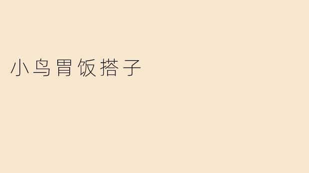 小鸟胃饭搭子