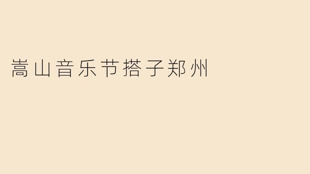 嵩山音乐节搭子郑州