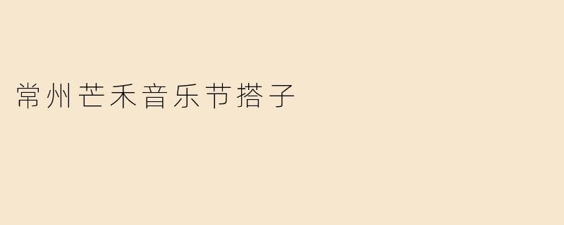 参加常州芒禾音乐节，想找个搭子一起玩，有什么建议或注意事项吗？