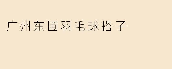 《寻找广州东圃羽毛球搭子：挥拍交友，健康生活两不误》