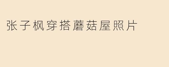 张子枫穿搭蘑菇屋照片