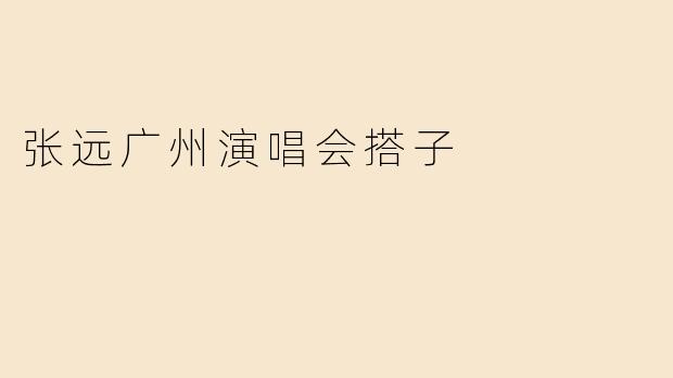 张远广州演唱会搭子