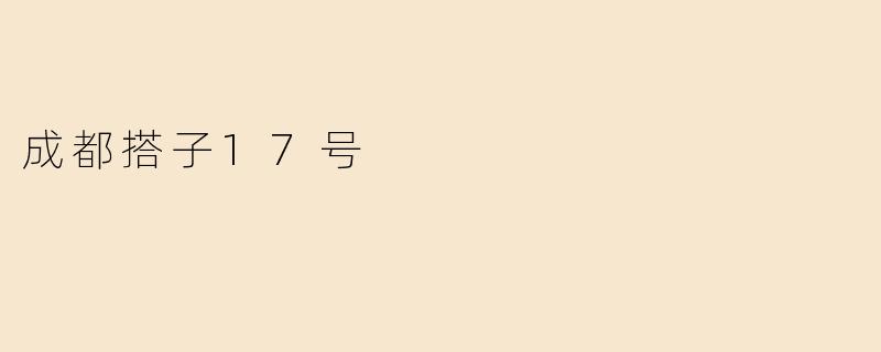 成都搭子17号