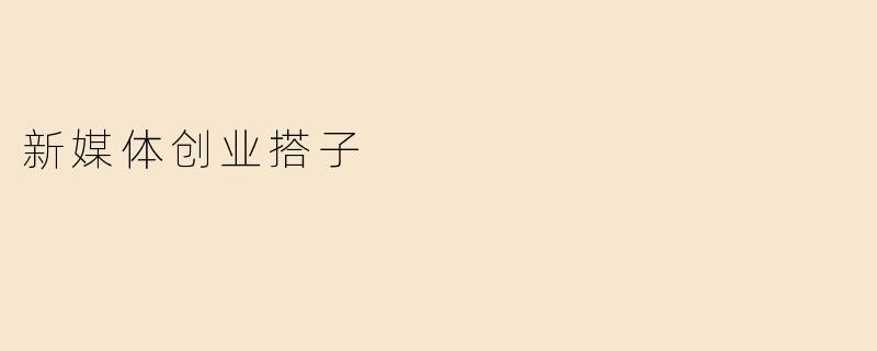 新媒体创业搭子