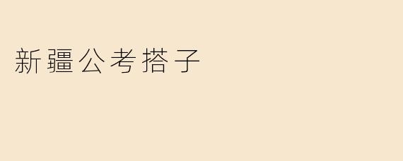 新疆公考搭子