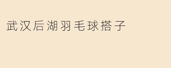 武汉后湖羽毛球搭子