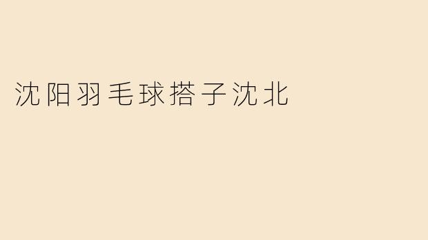 沈阳羽毛球搭子沈北