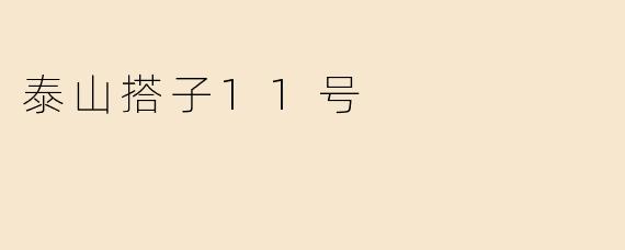 泰山搭子11号