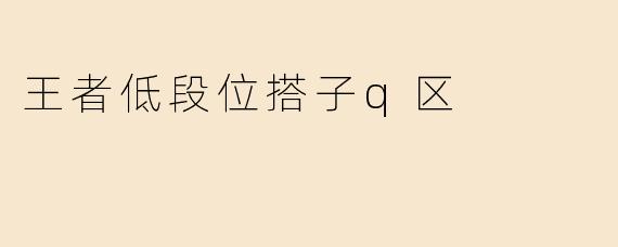 王者低段位搭子q区