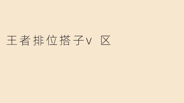 王者排位搭子v区