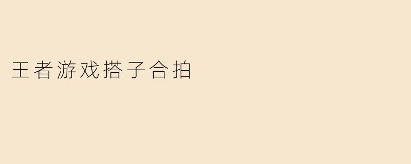 王者游戏搭子合拍